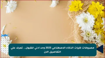 مصروفات كليات الذكاء الاصطناعي 2025 وحد أدنى للقبول.. تعرف على التفاصيل الآن